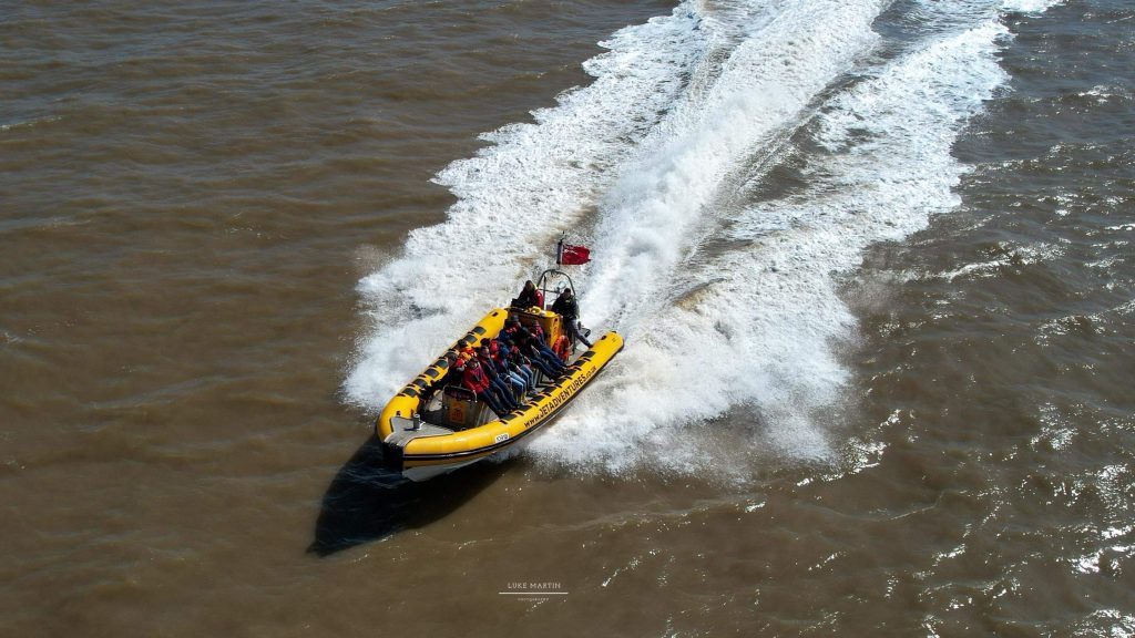 Shearwater moving at speed through the water